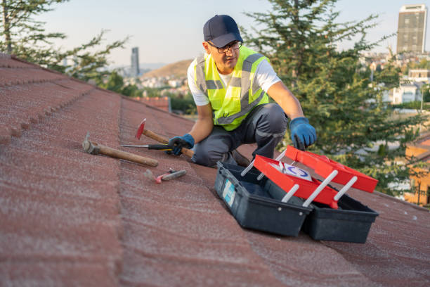 Professional Siding in Lincoln Park, PA